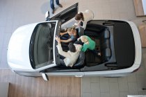 Overhead view of family trying out convertible car in car dealership — Stock Photo