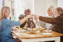 Amici anziani che fanno un brindisi a tavola — Foto stock