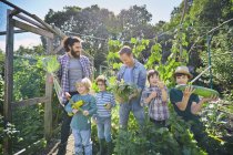 Two men and sons holding marrows and rhubarbs on allotment — Stock Photo