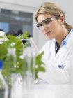 Científico observando el desarrollo de plantas experimentales en laboratorio de investigación - foto de stock