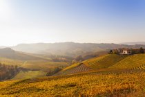 Landschaft mit herbstlichen Weinbergen und Hügeldorf, langhe, Piemont, Italien — Stockfoto