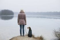 Vista posteriore della donna con cane che guarda fuori dalla riva del fiume — Foto stock
