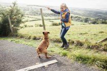 Girl holding stick for pet dog in countryside — Stock Photo
