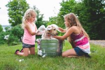 Dos hermanas bañando mascota labrador retriever cachorro - foto de stock