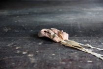Крупним планом взуття балету на підлозі — стокове фото