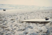 Tabla de surf en la playa, Lacanau, Francia - foto de stock