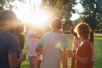 Amici adulti che festeggiano e bevono nel parco al tramonto — Foto stock