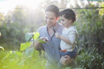 Mittlerer erwachsener Mann und Sohn betrachten Pflanzen in Schrebergarten — Stockfoto