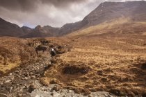 Vista panoramica di brughiera, Piscine delle fate, Isola di Skye, Ebridi, Scozia — Foto stock