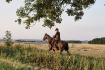 Femme équitation cheval dans le champ — Photo de stock