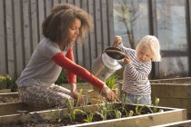 Mid adult woman helping son water plants in raised bed — Stock Photo