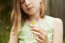 Plan recadré de fille avec tenant fleur de pissenlit — Photo de stock