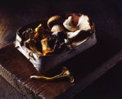 Органічні дикі гриби в кошику на дерев'яній обробній дошці — стокове фото
