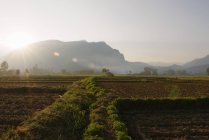 Nordthailand, Reisfelderhof und -feld, Chiang Dao, Thailand — Stockfoto