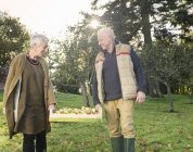 Seniorenpaar trägt Kiste mit Äpfeln — Stockfoto