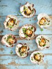 Scallops with herbs in shells on rustic wood, top view — Stock Photo