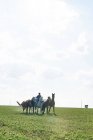 Hombre montando y liderando seis caballos en el campo - foto de stock