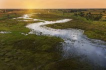 Tramonto sul Delta dell'Okavango, Parco Nazionale del Chobe, Botswana, Africa — Foto stock