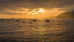 Silhouette of squid fishing boats on ocean, Brazil — Stock Photo
