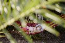 Little girl asleep in hammock in garden outdoors — Stock Photo