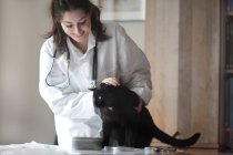 Veterinario examinando gato negro - foto de stock