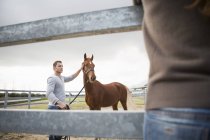 Giovane donna che guarda mano stabile con cavallo in anello paddock — Foto stock