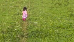 Rear view of girl walking on track in green rural field — Stock Photo