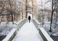 Femme traversant pont couvert de neige, vue arrière — Photo de stock