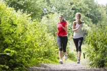 Two women jogging through forest — Stock Photo