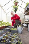 Uomo anziano in serra con piante — Foto stock