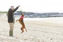 Homem e cão na praia, Constantine Bay, Cornwall, Reino Unido — Fotografia de Stock