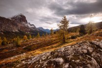Monte Lagazuoi, Dolomiti, Alto Adige, Italia — Foto stock