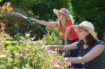 Jeunes femmes arrosant le jardin avec tuyau d'arrosage — Photo de stock