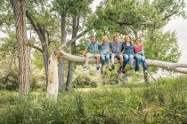 Ritratto di ragazza adolescente e giovani amici adulti seduti su un albero caduto — Foto stock