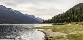 Bosque, lago y paisaje de montaña, Parque Provincial Strathcona-Westmin, Isla de Vancouver, Columbia Británica, Canadá - foto de stock