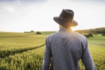 Взрослый мужчина, стоящий в поле, вид сзади, Нойлинген, Баден-Вюртемберг, Германия — стоковое фото