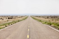 Пустая дорога, протянувшаяся между сухими полями — стоковое фото
