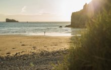 Vista distante del surfista adolescente maschio che cammina verso il mare, Camaret-sur-mer, Bretagna, Francia — Foto stock