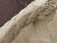 Micrografia eletrônica de varredura colorida de lápis de graxa — Fotografia de Stock