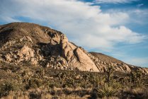Paesaggio arido, Parco nazionale di Joshua Tree, California, Stati Uniti d'America — Foto stock