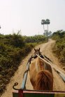 Cheval et charrette descendant la route rurale, Innwa, Ava, Mandalay, Birmanie — Photo de stock
