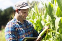 Farmer in corn field quality checking corn plants — Stock Photo