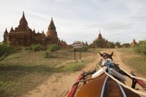 Blick auf den Pferderücken, vorbei an Pagode, Bagan, Myanmar — Stockfoto