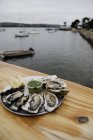 Fresh oysters and harbor, Point Reyes, California, USA — Stock Photo