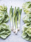 Натюрморт зі свіжого салату і зеленої цибулі — стокове фото