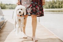 Donna che porta il coton de tulear dog che indossa il giubbotto salvagente sul molo del lago, Orivesi, Finlandia — Foto stock