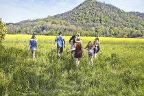 Rear view of young adult friends and teenage girl walking in field — Stock Photo