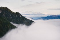 Vista panorámica de Seiser Alm, Tirol del Sur, Alpes Dolomitas, Italia - foto de stock