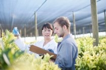 Scientist and worker in plant nursery — Stock Photo