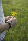 Giovane donna che tiene fiori gialli, da vicino — Foto stock